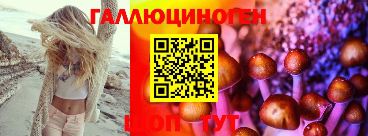 Псилоцибиновые грибы Psilocybe  Вход с VPN  Йошкар-Ола 