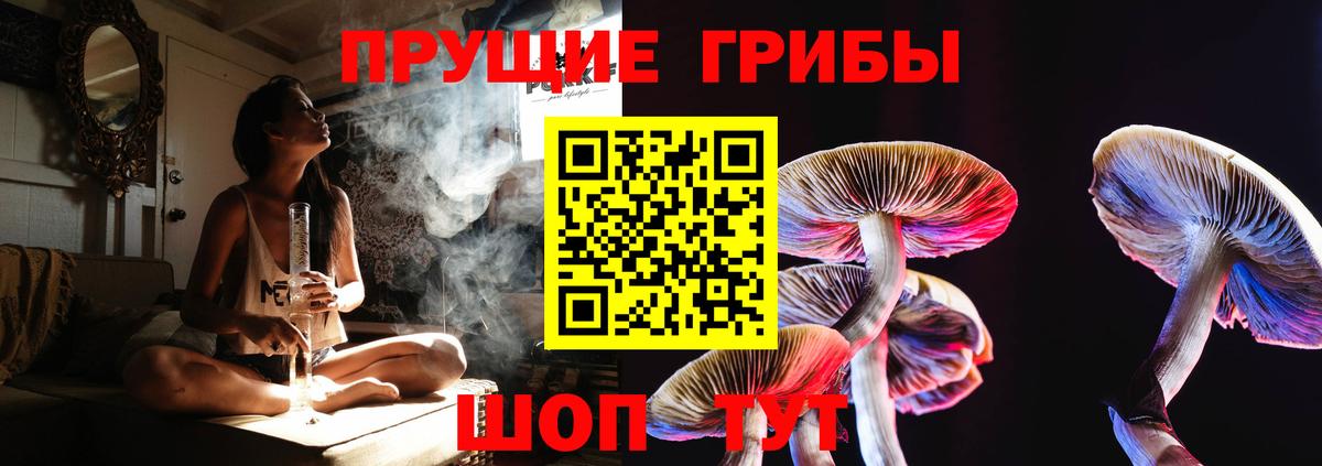 Галлюциногенные грибы прущие грибы Йошкар-Ола